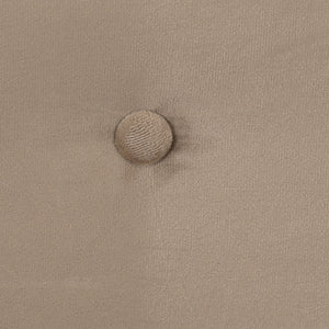 Ashley 2 Seater Sofa Oyster Velvet Fabric